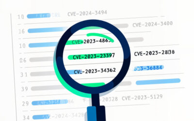 Beyond Vulnerability Management – Can You CVE What I CVE? ​