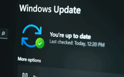 Patch Tuesday, May 2025 Edition ​