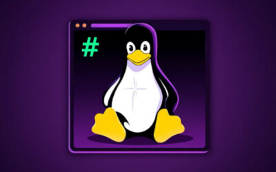 CISA Warns of Active Exploitation of Linux Kernel Privilege Escalation Vulnerability ​