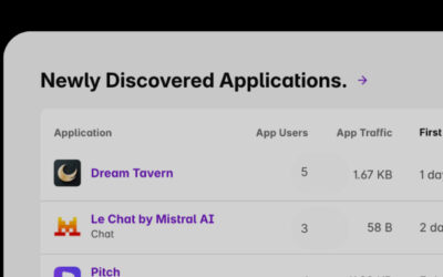 Shadow AI Discovery: A Critical Part of Enterprise AI Governance ​