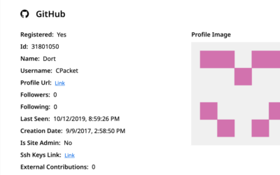Who is the Kimwolf Botmaster “Dort”? ​