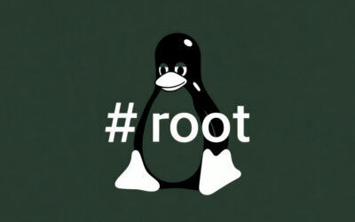 New Linux ‘Copy Fail’ Vulnerability Enables Root Access on Major Distributions ​