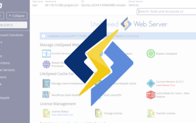 LiteSpeed cPanel Plugin CVE-2026-48172 Exploited to Run Scripts as Root ​