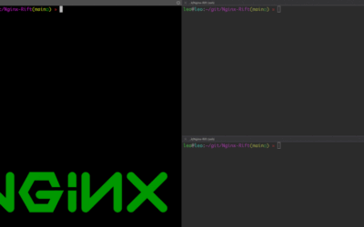 18-Year-Old NGINX Rewrite Module Flaw Enables Unauthenticated RCE ​