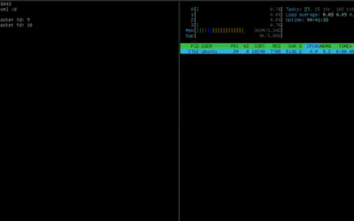 Unpatched XRING Flaw in XQUIC Lets Remote Clients Crash HTTP/3 Servers ​