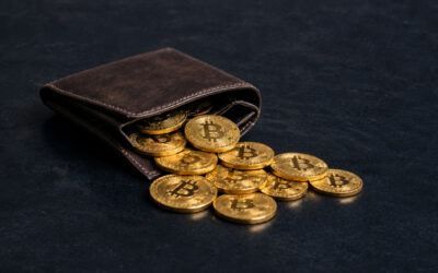 Attackers Exploit ‘Ill Bloom’ Vulnerability to Drain $3.1 Million From Cryptocurrency Wallets ​