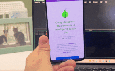Researchers Show a Single Malicious Webpage Visit Can Compromise Tor Browser ​