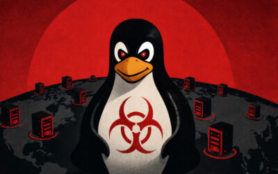 Evooo1Bot Linux Botnet Exploits Known Flaws to Turn Edge Devices Into SOCKS5 Proxies ​